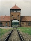 Entrance to Auschwitz: This Train Revised