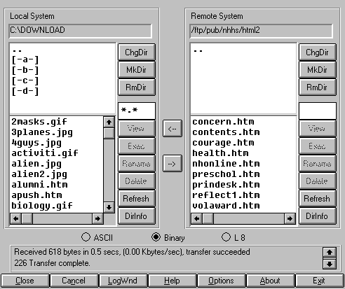 image of graphical interface of WS-FTP client