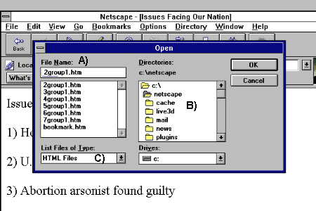 Screen capture: Open File dialogue box