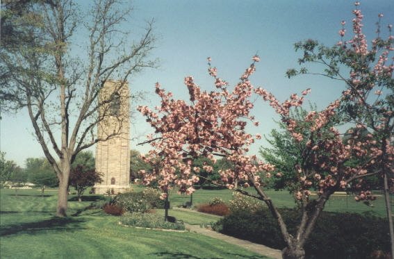 Baker Park, Frederick, MD 