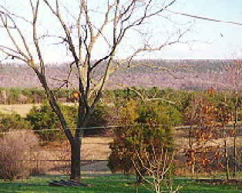 The skyline of mountains near Hancock, MD