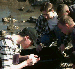 Students conducting tests on Water Quality