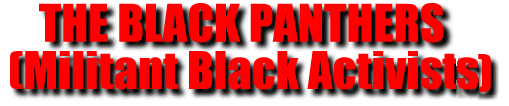 Black Panthers (Militant Black Activist)