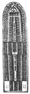 Ship of the Middle Passage