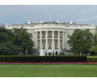 Animation: Government Icons