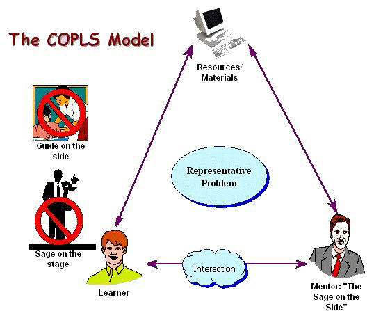The COPLS (The Community of Practice Learning System).